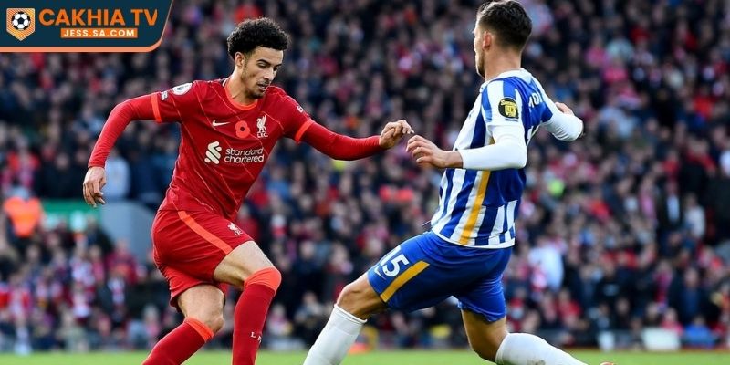 Nhận Định Liverpool Vs Brighton & Hove Albion 15/02/2026: Soi kèo & dự đoán 3 Các kèo thơm cho fan hâm mộ của Liverpool vs Brighton & Hove Albion