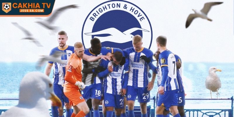 Nhận Định Liverpool Vs Brighton & Hove Albion 15/02/2026: Soi kèo & dự đoán 2 Tình hình của Brighton